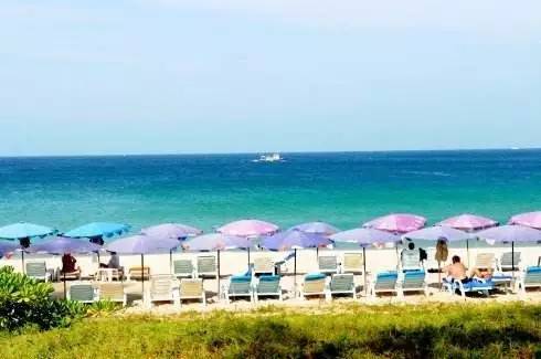 沙滩版小苹果小苹果儿无敌版-第2张图片-太平洋在线下载 沙滩版小苹果小苹果儿无敌版-第2张图片-太平洋在线下载