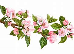 小苹果童版广场舞小苹果