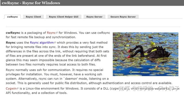 客户端同步工具免费同步软件-第8张图片-太平洋在线下载 客户端同步工具免费同步软件-第8张图片-太平洋在线下载