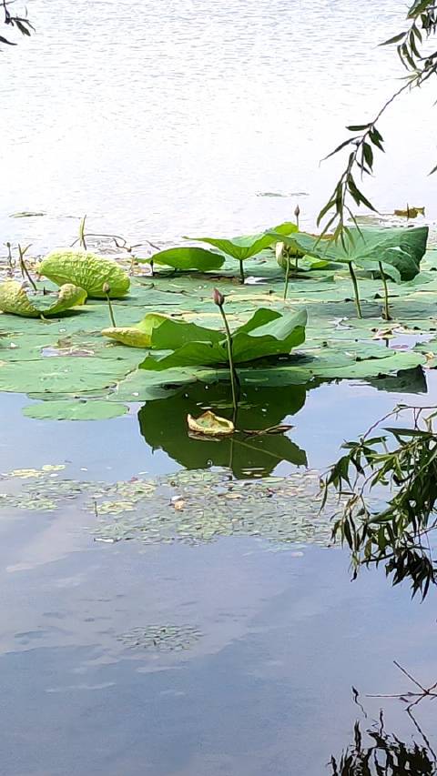 美丽世界手机客户端美丽世界nage手机版