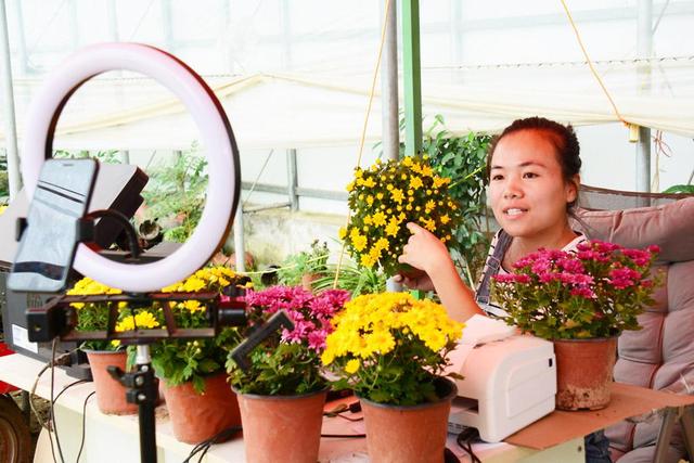 鲜花直播下载苹果版的简单介绍