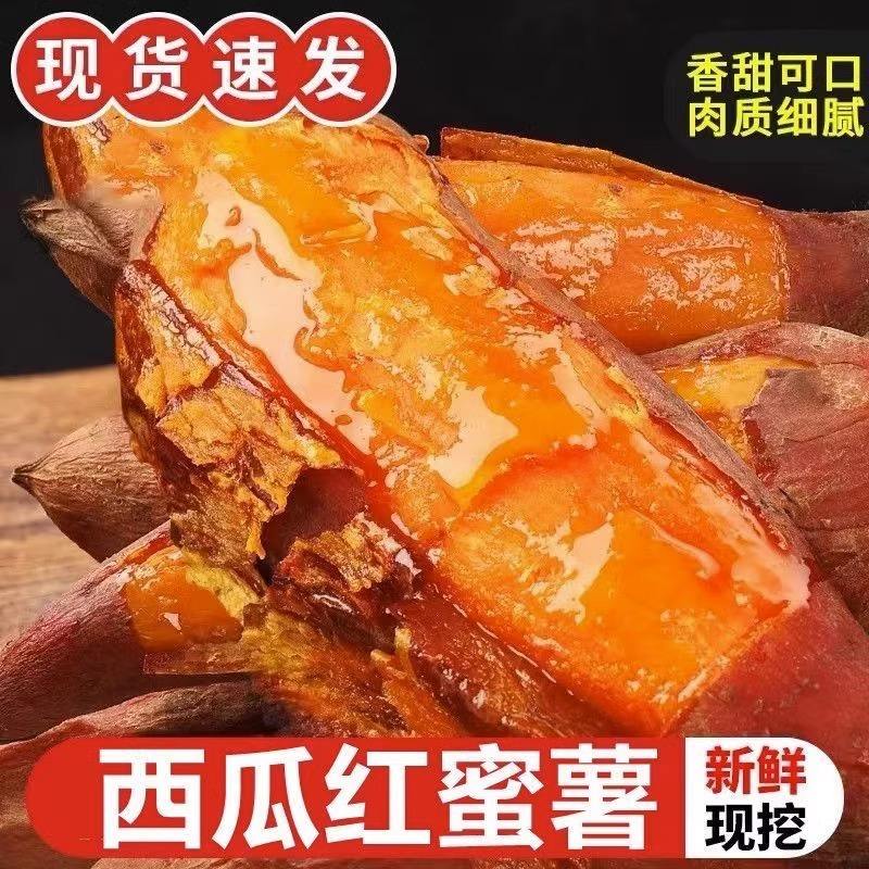 地瓜客户端地瓜阁官网登录入口-第2张图片-太平洋在线下载 地瓜客户端地瓜阁官网登录入口-第2张图片-太平洋在线下载