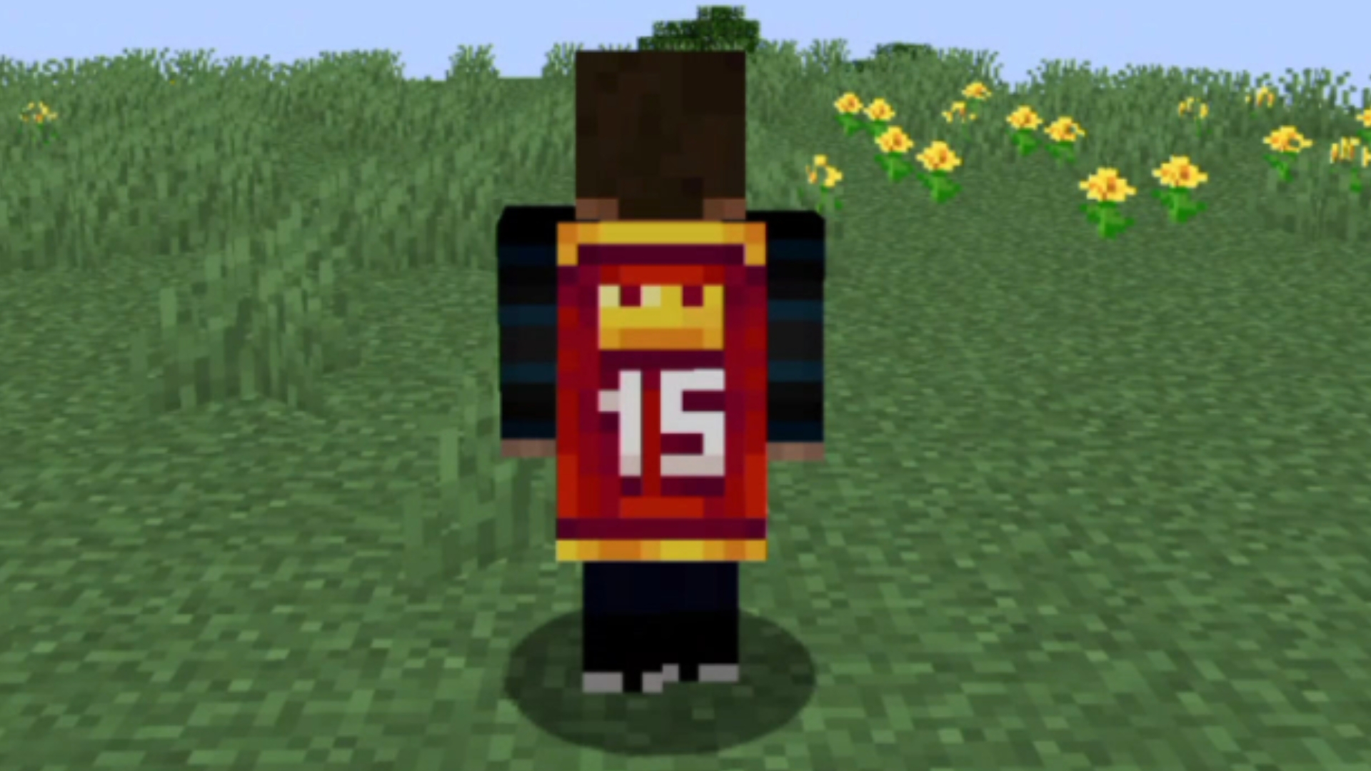 我的世界手机版披风我的世界网易版披风教程-第2张图片-太平洋在线下载