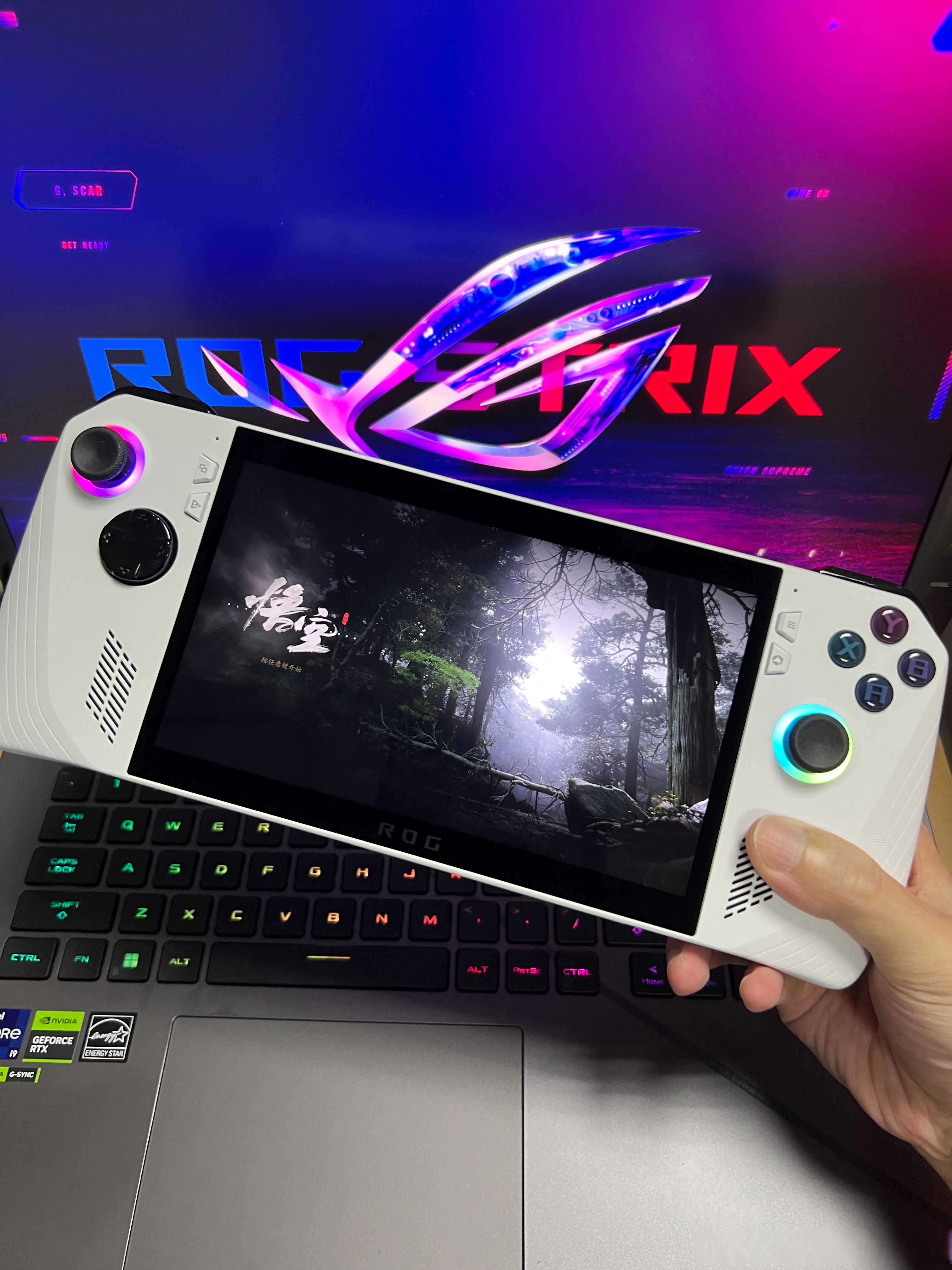 掌上tgb手机版掌上wgame官网-第2张图片-太平洋在线下载