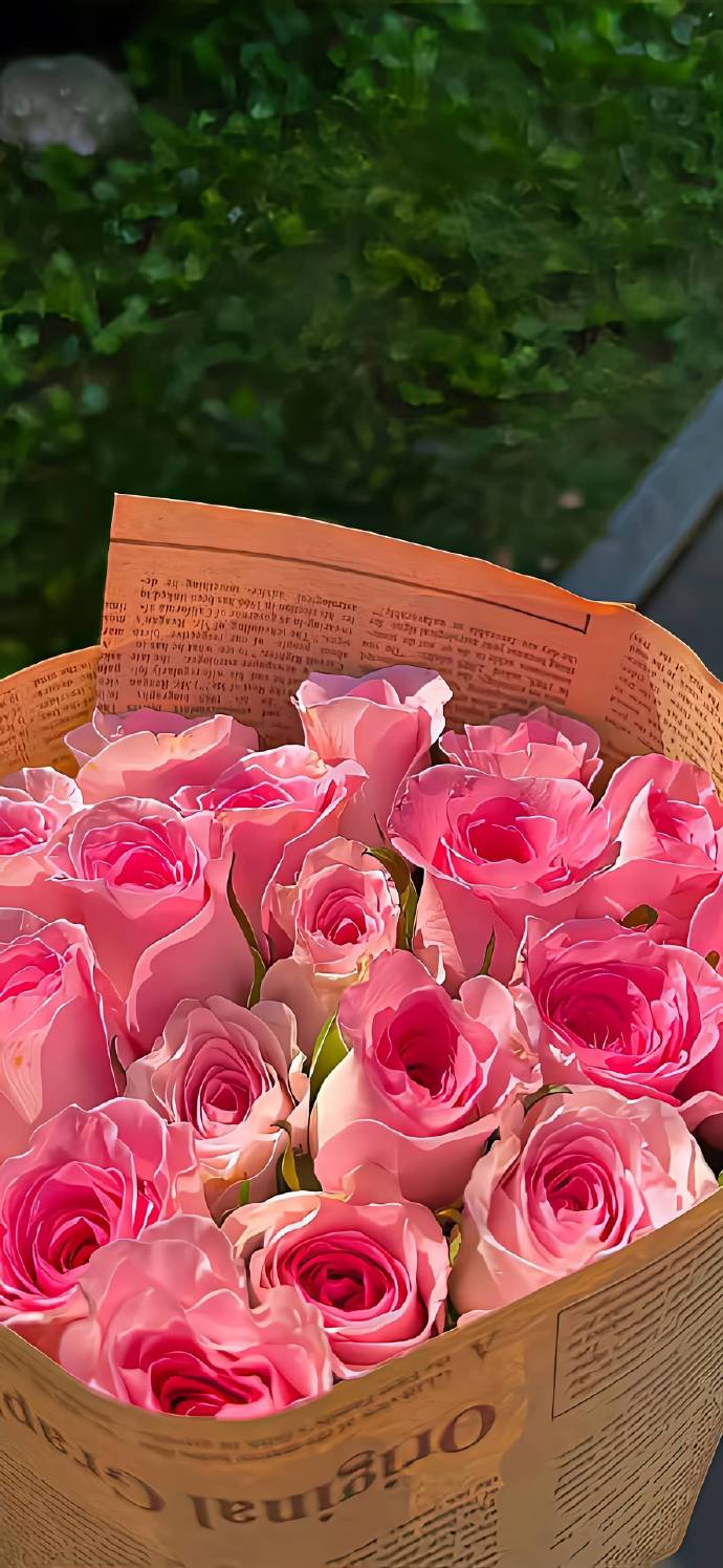 新款网手机版oppo最新款手机