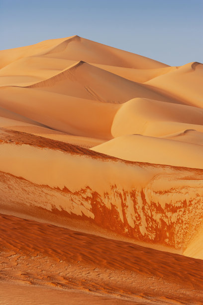 手机版沙丘沙丘原著小说