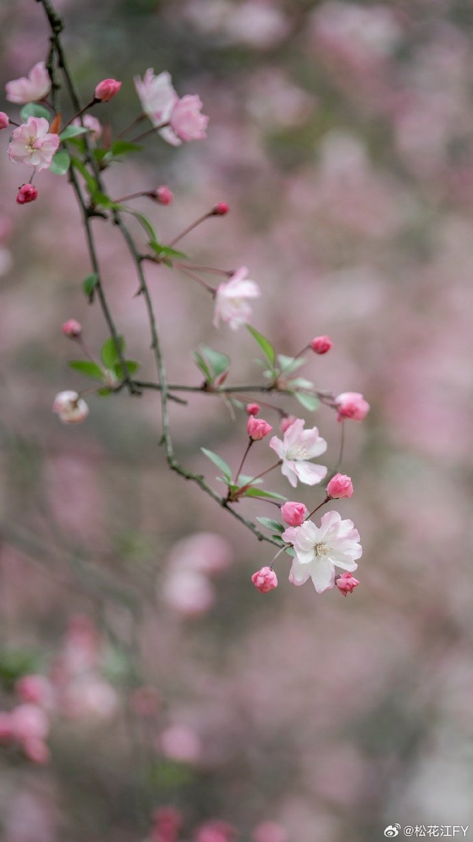 江南晚报手机版江南晚报投稿平台-第2张图片-太平洋在线下载